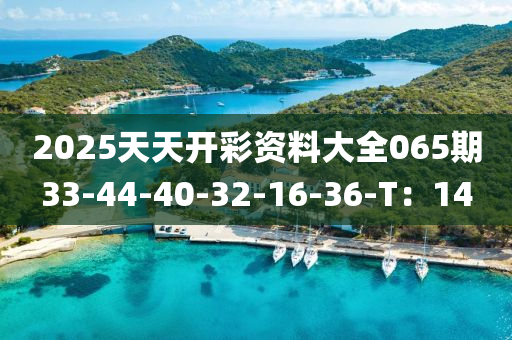 2025天天開彩資料大全065期33-44-40-32-16-36-T：14