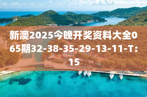 新澳2025今晚開獎資料大全065期32-38-35-29-13-11-T：15