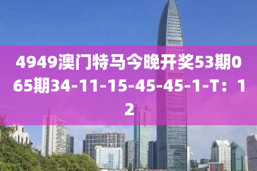 4949澳門特馬今晚開獎53期065期34-11-15-45-45-1-T：12