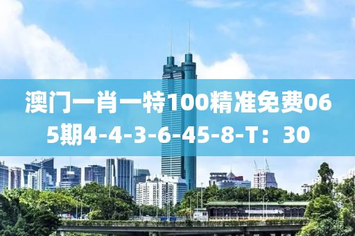 澳門一肖一特100精準免費065期4-4-3-6-45-8-T：30