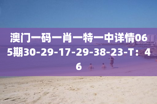 澳門一碼一肖一特一中詳情065期30-29-17-29-38-23-T：46木工機械,設(shè)備,零部件