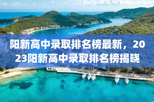 陽(yáng)新高中錄取排名榜最新，2023陽(yáng)新高中錄取排名榜揭曉