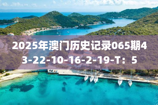 2025年澳門歷史記錄065期43-22-10-16-2-19-T：5