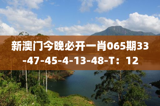 新澳門(mén)今晚必開(kāi)一肖065期33-47-45-4-13-48-T：12木工機(jī)械,設(shè)備,零部件