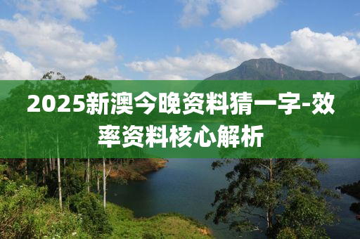 2025新澳今晚資料猜一字-效率資料核心解析