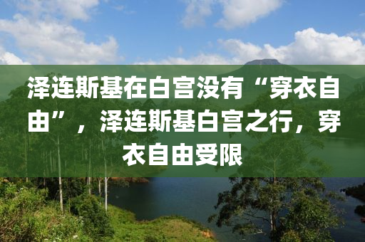 澤連斯基在白宮沒有“穿衣自由”，澤連斯基白宮之行，穿衣自由受限