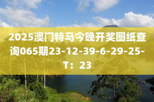 2025澳門特馬今晚開獎圖紙查詢065期23-12-39-6-29-25-T：23