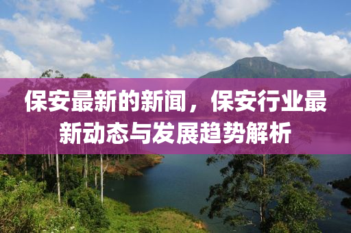 保安最新的新聞，保安行業(yè)最新動態(tài)與發(fā)展趨勢解析