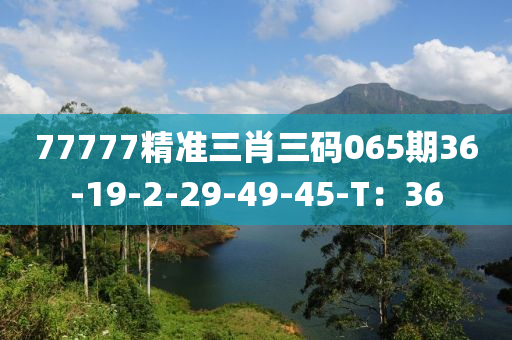 77777精準(zhǔn)三肖三木工機(jī)械,設(shè)備,零部件碼065期36-19-2-29-49-45-T：36