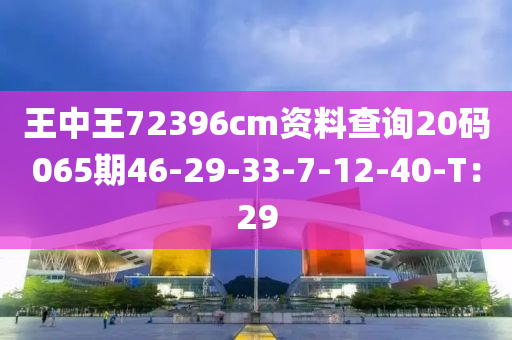 王中王72396cm資料查詢20碼065期46-29-33-7-12-40-T：29