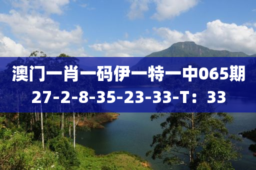 澳門一肖一碼伊一特一中065期27-2-8-35-23-33-T：33