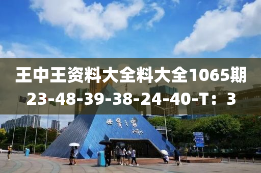 王中王資料大全料大全1065期2木工機(jī)械,設(shè)備,零部件3-48-39-38-24-40-T：3