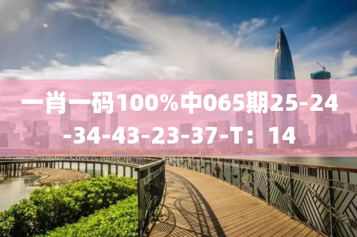 一肖一碼100%中065期25-24-34-43-23-37-T：14