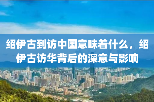 紹伊古到訪中國意味著什么，紹伊古訪華背后的深意與影響木工機械,設(shè)備,零部件