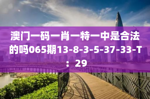 澳門一碼一肖一特一中是合法的嗎065期13-8-3-5-37-33-T：29