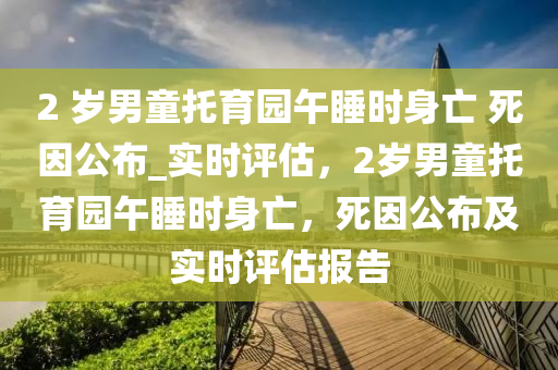 2 歲男童托育園午睡時(shí)身亡 死因公布_實(shí)時(shí)評(píng)估，2歲男童托育園午睡時(shí)身亡，死因公布及實(shí)時(shí)評(píng)估報(bào)告