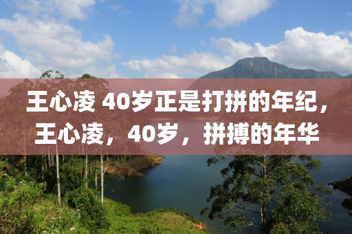 王心凌 40歲正是打拼的年紀(jì)，王心凌，40歲，拼搏的年華