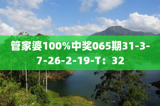 管家婆100%中獎(jiǎng)065期31-3-7-2木工機(jī)械,設(shè)備,零部件6-2-19-T：32