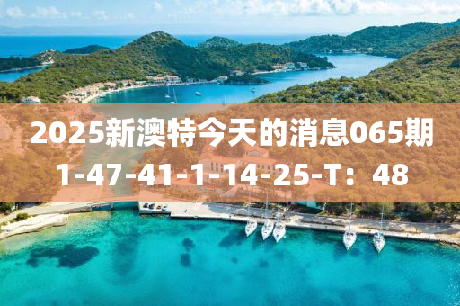 2025新澳特今天的消息065期1-47-木工機械,設(shè)備,零部件41-1-14-25-T：48