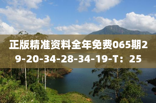 正版精準(zhǔn)資料全年免費(fèi)065期29-20-34-28-34-19-T：25