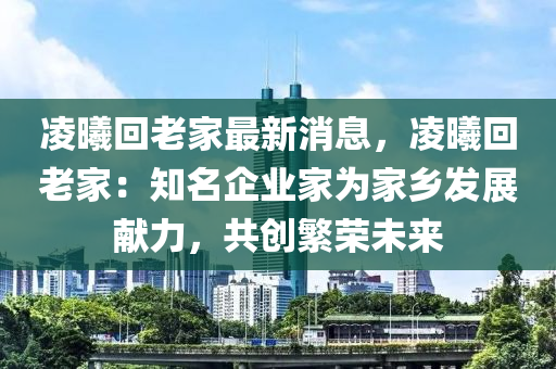 凌曦回老家最新消息，凌曦回老家：知名企業(yè)家為家鄉(xiāng)發(fā)展獻(xiàn)力，共創(chuàng)繁榮未來