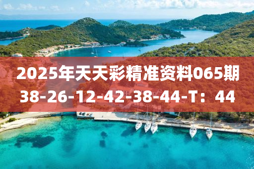 2025年天天彩精準資料065期38-26-12-木工機械,設(shè)備,零部件42-38-44-T：44