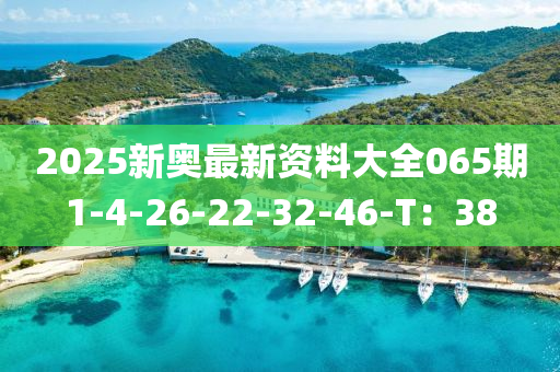 2025新奧最新資料大全065期1-4-26-22-32-46-T：38木工機(jī)械,設(shè)備,零部件