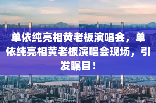 單依純亮相黃老板演唱會，單依純亮相黃老板演唱會現(xiàn)場，引發(fā)矚目！木工機械,設(shè)備,零部件