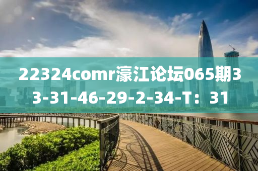 22324comr濠江論壇065期33-31-46-29-2-34-T：31木工機械,設(shè)備,零部件