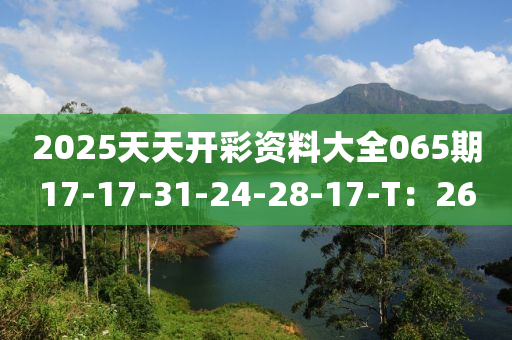 2025天天開彩資料大全065期17-17-31-24-28-17-T：26