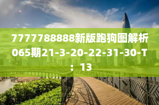 7777788888新版跑狗圖解析065期21-3-20-22-31-30-T：13