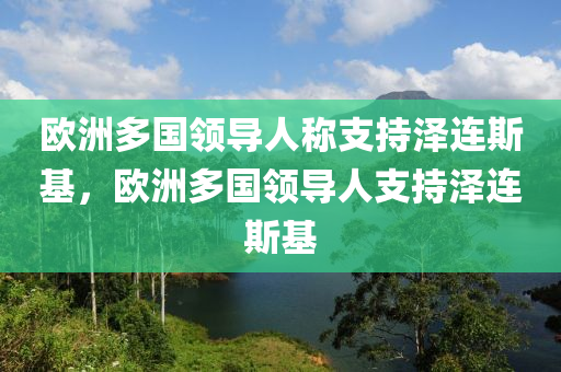 歐洲多國(guó)領(lǐng)導(dǎo)人稱支持澤連斯基，歐洲多國(guó)領(lǐng)導(dǎo)人支持澤連斯基