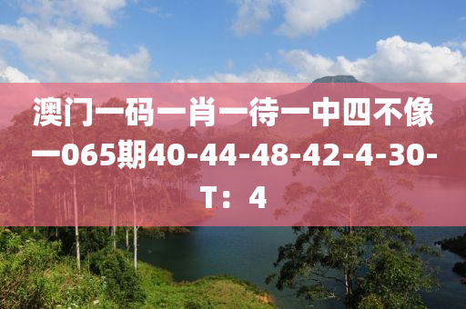 澳門一碼一肖一待一中四不像一065期40-44-48-42-4-30-T：4