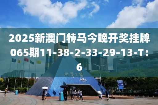 2025新澳門特馬今晚開獎掛牌065期11-38-2-33-29-13-T：6