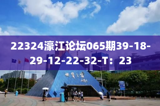 22324濠江論壇065期39-18-29-12-22-32-T：23