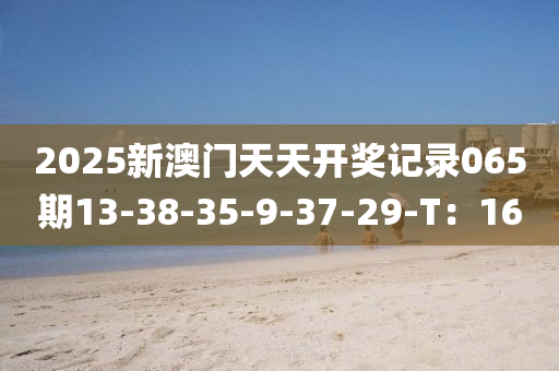 2025新澳門天天開獎記錄065期13-38-35-9-37-29-T：16