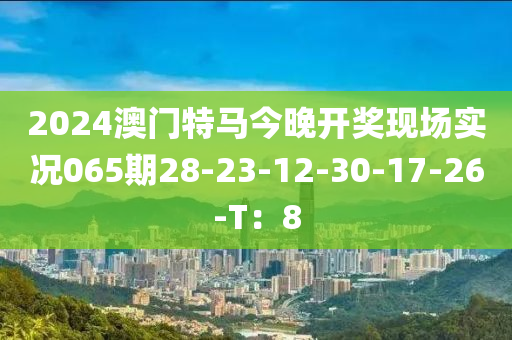 2024澳門特馬今晚開獎現(xiàn)場實況065期28-2木工機械,設(shè)備,零部件3-12-30-17-26-T：8