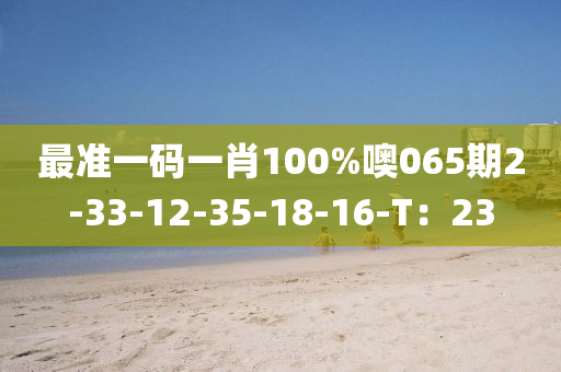 最準(zhǔn)一碼一肖100%噢065期2-33-12-35-18-16-T：23