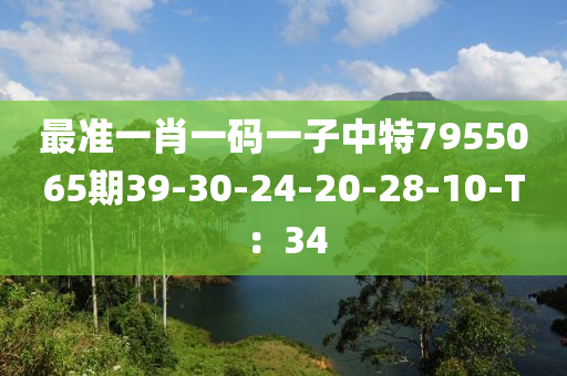 最準(zhǔn)一肖一碼一子中特7955065期39-30-24-20-28-10-T：34