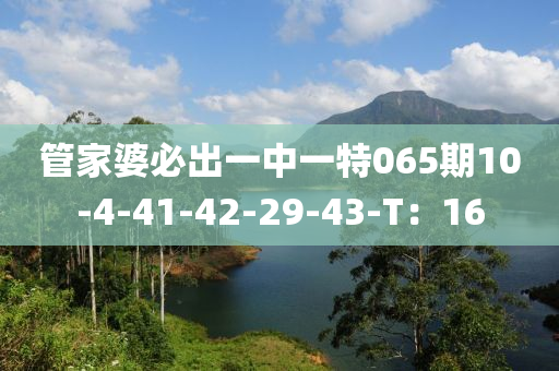 管家婆必出一中一特065期10木工機械,設備,零部件-4-41-42-29-43-T：16