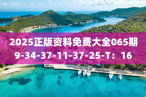 2025正版資料免費大全065期9-34-37-11-37-25-T：16