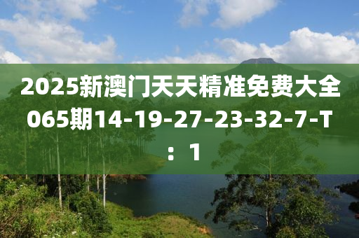 2025新澳門(mén)天天精準(zhǔn)免費(fèi)大全065期14-19-27-23-32-7-T：1