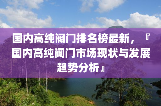 國內(nèi)高純閥門排名榜最新，『國內(nèi)高純閥門市場(chǎng)現(xiàn)狀與發(fā)展趨勢(shì)分析』