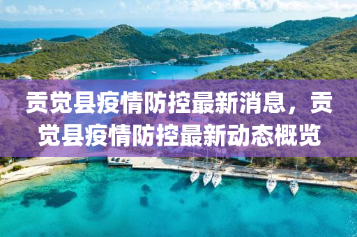 貢覺縣疫情防控最新消息，貢覺縣疫情防控最新動態(tài)概覽