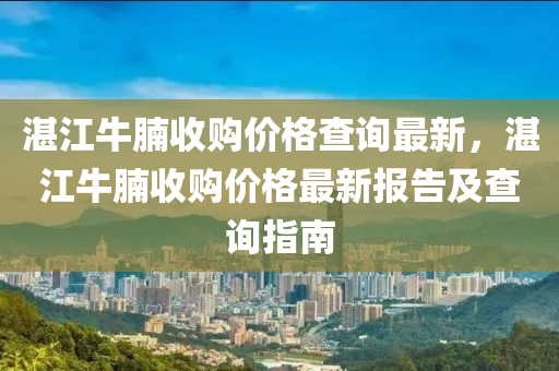 湛江牛腩收購價格查詢最新，湛江牛腩收購價格最新報告及查詢指南