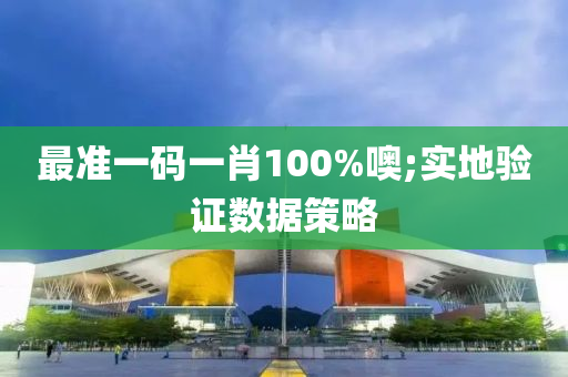 最準一碼一肖100%噢;實地驗證數(shù)據(jù)策略