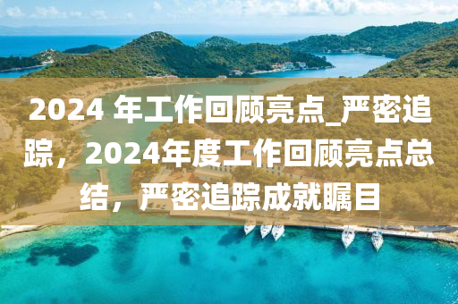 2024 年工作回顧亮點(diǎn)_嚴(yán)密追蹤，2024年度工作回顧亮點(diǎn)總結(jié)，嚴(yán)密追蹤成就矚目