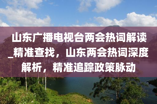 山東廣播電視臺兩會熱詞解讀_精準查找，山東兩會熱詞深度解析，精準追蹤政策脈動木工機械,設備,零部件