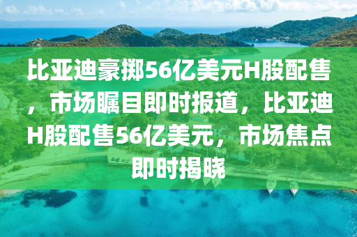 比亞迪豪擲56億美元H股配售，市場矚目即時報道，比亞迪H股配售56億美元，市場焦點即時揭曉