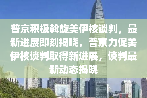 普京積極斡旋美伊核談判，最新進(jìn)展即刻揭曉，普京力促美伊核談判取得新進(jìn)展，談判最新動(dòng)態(tài)揭曉